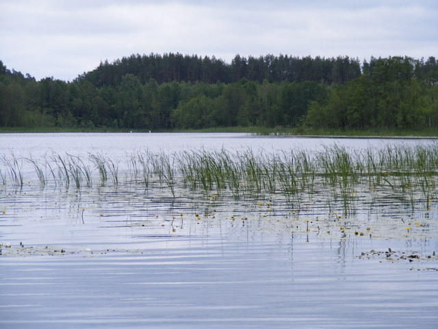 Shrap-Drakers.pl | Shrap Drakers Fishing | Wędkarstwo 