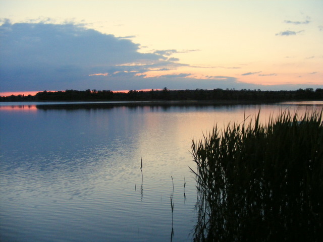 Shrap-Drakers.pl | Shrap Drakers Fishing | Wędkarstwo 