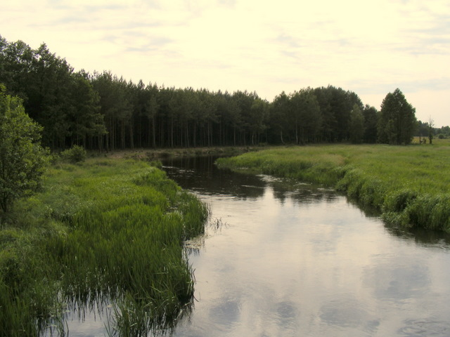 Shrap-Drakers.pl | Shrap Drakers Fishing | Wędkarstwo 