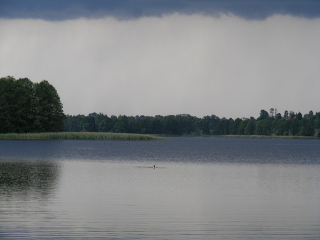 Shrap-Drakers.pl | Shrap Drakers Fishing | Wędkarstwo 