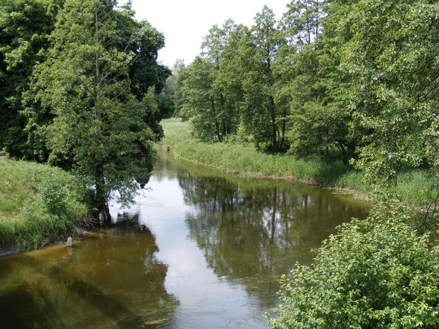 Shrap-Drakers.pl | Shrap Drakers Fishing | Wędkarstwo 