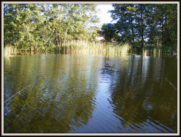 Shrap-Drakers.pl | Shrap Drakers Fishing | Wędkarstwo 