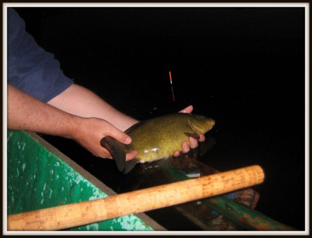 Shrap-Drakers.pl | Shrap Drakers Fishing | Wędkarstwo 