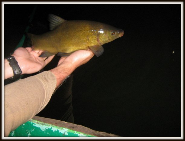 Shrap-Drakers.pl | Shrap Drakers Fishing | Wędkarstwo 