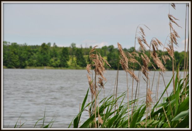 Shrap-Drakers.pl | Shrap Drakers Fishing | Wędkarstwo 