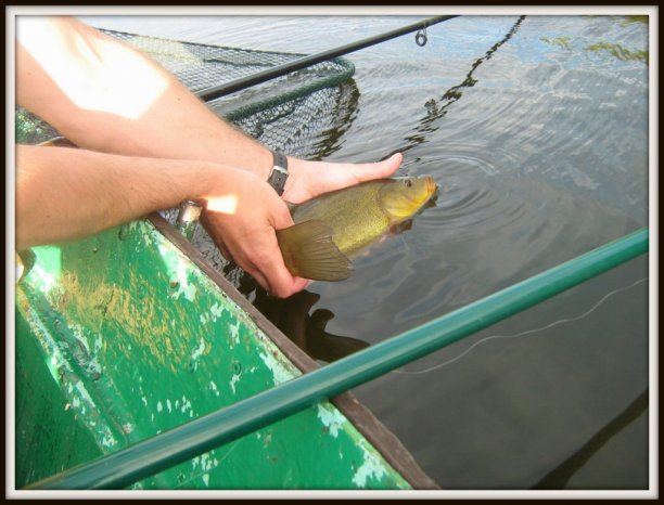 Shrap-Drakers.pl | Shrap Drakers Fishing | Wędkarstwo 