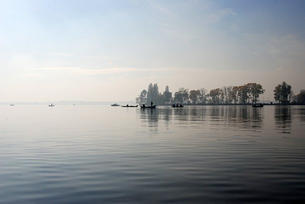 Shrap-Drakers.pl | Shrap Drakers Fishing | Wędkarstwo 