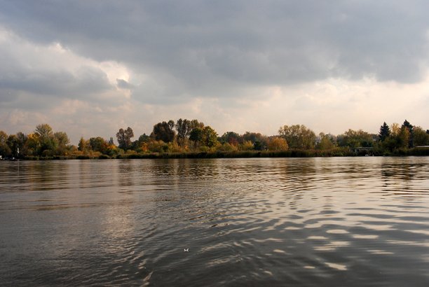 Shrap-Drakers.pl | Shrap Drakers Fishing | Wędkarstwo 