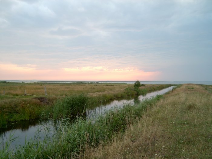 Miejsce na dorodne płocie