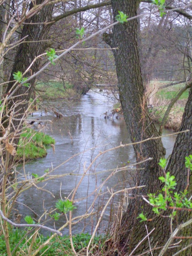 Shrap-Drakers.pl | Shrap Drakers Fishing | Wędkarstwo 