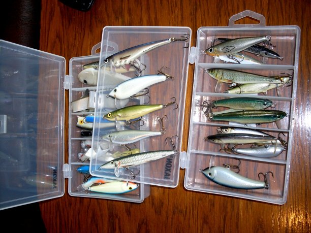 Shrap-Drakers.pl | Shrap Drakers Fishing | Wędkarstwo 