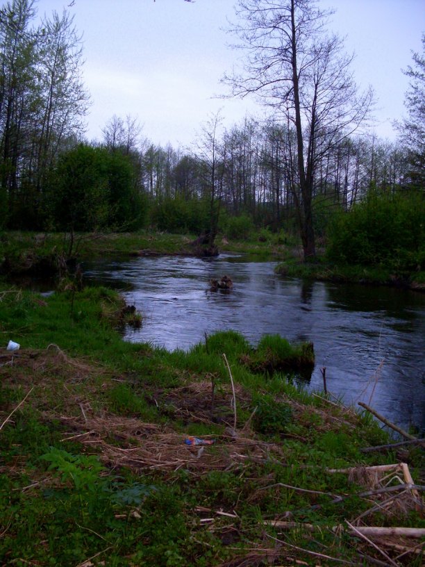 Shrap-Drakers.pl | Shrap Drakers Fishing | Wędkarstwo 