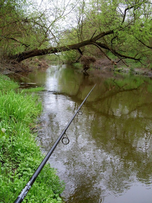 Shrap-Drakers.pl | Shrap Drakers Fishing | Wędkarstwo 