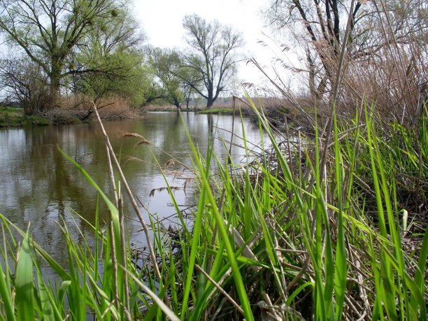 Shrap-Drakers.pl | Shrap Drakers Fishing | Wędkarstwo 