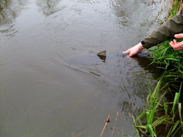 Shrap-Drakers.pl | Shrap Drakers Fishing | Wędkarstwo 