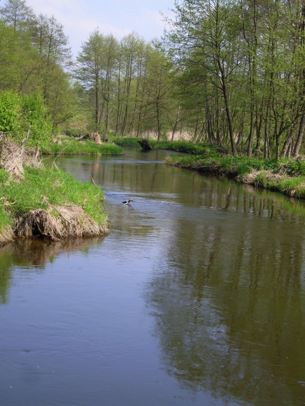 Shrap-Drakers.pl | Shrap Drakers Fishing | Wędkarstwo 