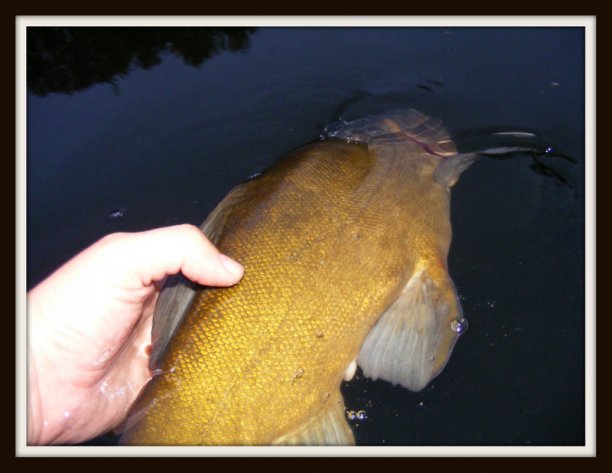 Shrap-Drakers.pl | Shrap Drakers Fishing | Wędkarstwo 