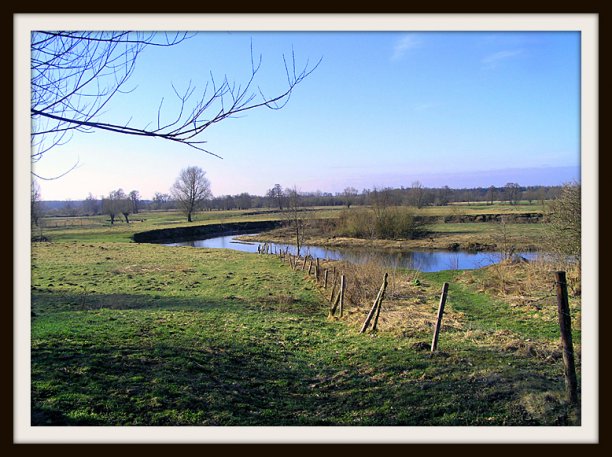 Shrap-Drakers.pl | Shrap Drakers Fishing | Wędkarstwo 