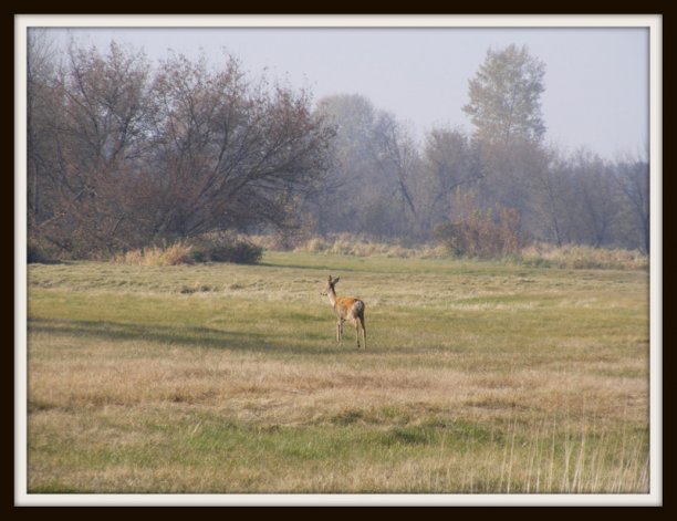 Shrap-Drakers.pl | Shrap Drakers Fishing | Wędkarstwo 