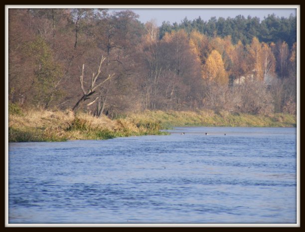 Shrap-Drakers.pl | Shrap Drakers Fishing | Wędkarstwo 