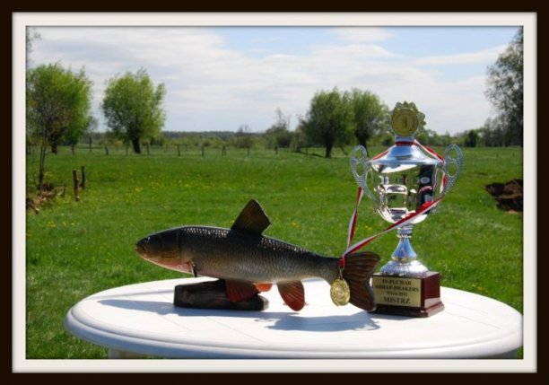 Shrap-Drakers.pl | Shrap Drakers Fishing | Wędkarstwo 