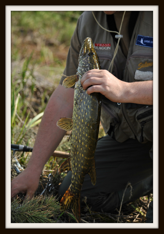 Shrap-Drakers.pl | Shrap Drakers Fishing | Wędkarstwo 