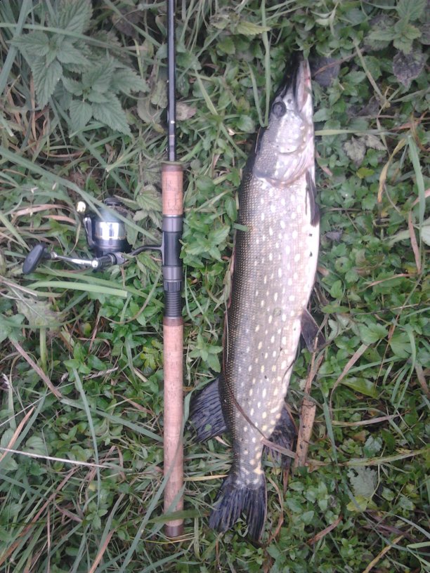 Shrap-Drakers.pl | Shrap Drakers Fishing | Wędkarstwo 