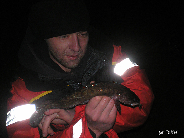 Shrap-Drakers.pl | Shrap Drakers Fishing | Wędkarstwo 