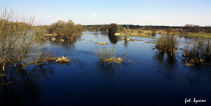Shrap-Drakers.pl | Shrap Drakers Fishing | Wędkarstwo 