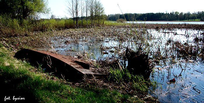 Shrap-Drakers.pl | Shrap Drakers Fishing | Wędkarstwo 