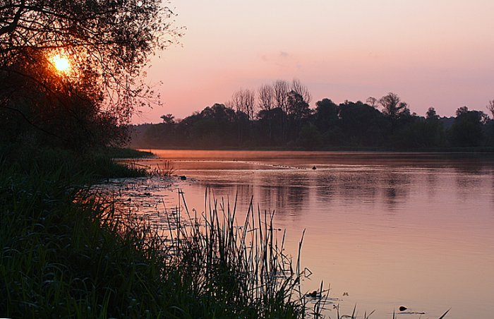 Shrap-Drakers.pl | Shrap Drakers Fishing | Wędkarstwo 