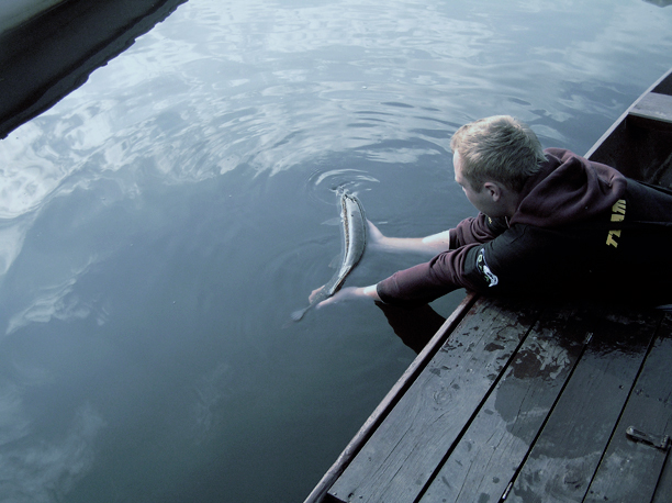 Shrap-Drakers.pl | Shrap Drakers Fishing | Wędkarstwo 