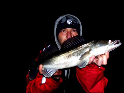 Shrap-Drakers.pl | Shrap Drakers Fishing | Wędkarstwo 