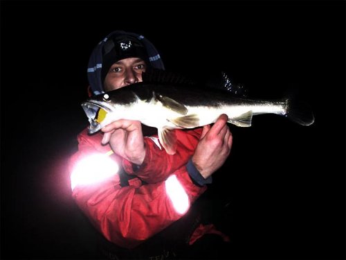 Shrap-Drakers.pl | Shrap Drakers Fishing | Wędkarstwo 