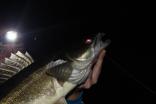 Shrap-Drakers.pl | Shrap Drakers Fishing | Wędkarstwo 