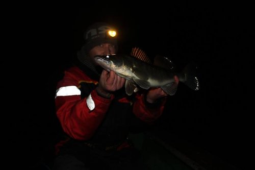 Shrap-Drakers.pl | Shrap Drakers Fishing | Wędkarstwo 