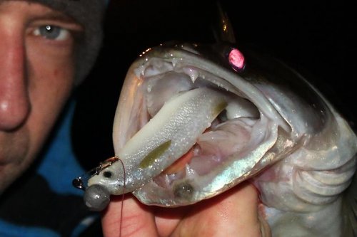 Shrap-Drakers.pl | Shrap Drakers Fishing | Wędkarstwo 