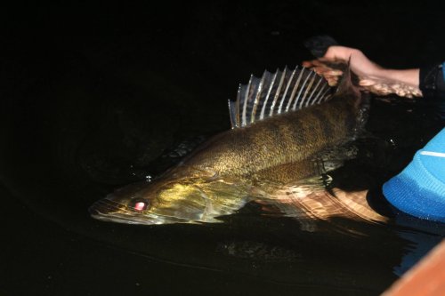 Shrap-Drakers.pl | Shrap Drakers Fishing | Wędkarstwo 