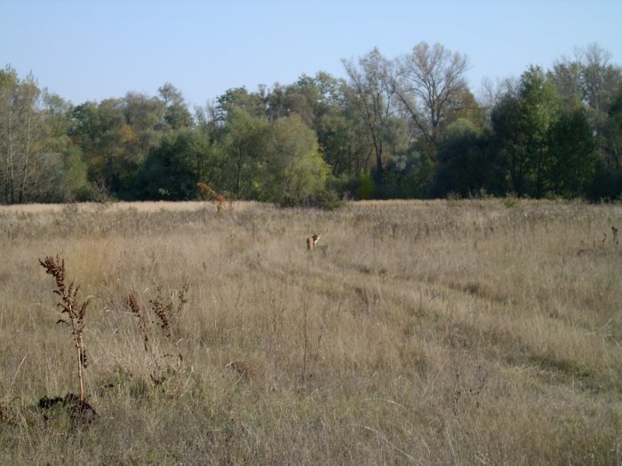 Shrap-Drakers.pl | Shrap Drakers Fishing | Wędkarstwo 