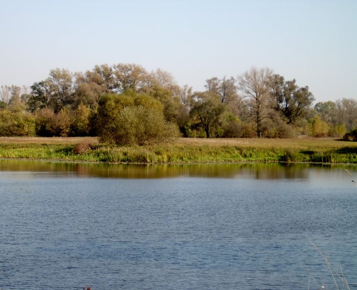 Shrap-Drakers.pl | Shrap Drakers Fishing | Wędkarstwo 