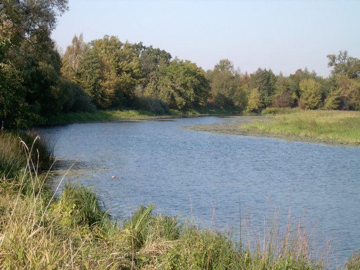 Shrap-Drakers.pl | Shrap Drakers Fishing | Wędkarstwo 