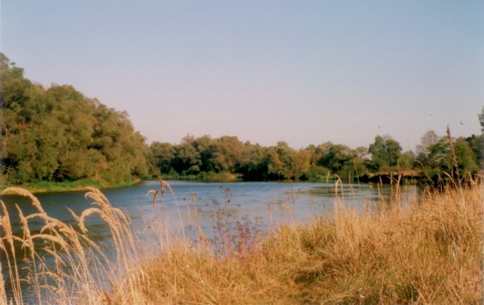 Shrap-Drakers.pl | Shrap Drakers Fishing | Wędkarstwo 