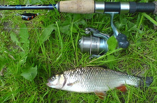 Shrap-Drakers.pl | Shrap Drakers Fishing | Wędkarstwo 