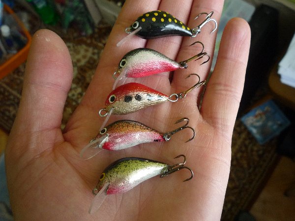 Shrap-Drakers.pl | Shrap Drakers Fishing | Wędkarstwo 