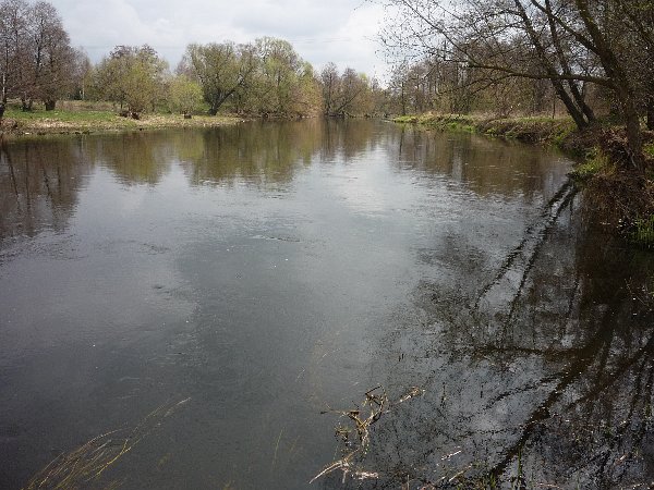 Shrap-Drakers.pl | Shrap Drakers Fishing | Wędkarstwo 