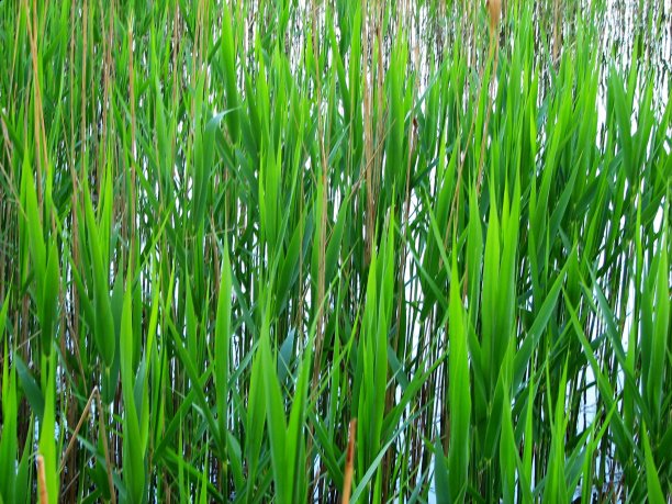 Shrap-Drakers.pl | Shrap Drakers Fishing | Wędkarstwo 