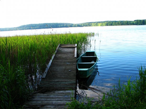 Shrap-Drakers.pl | Shrap Drakers Fishing | Wędkarstwo 