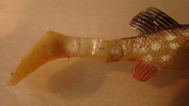 Shrap-Drakers.pl | Shrap Drakers Fishing | Wędkarstwo 