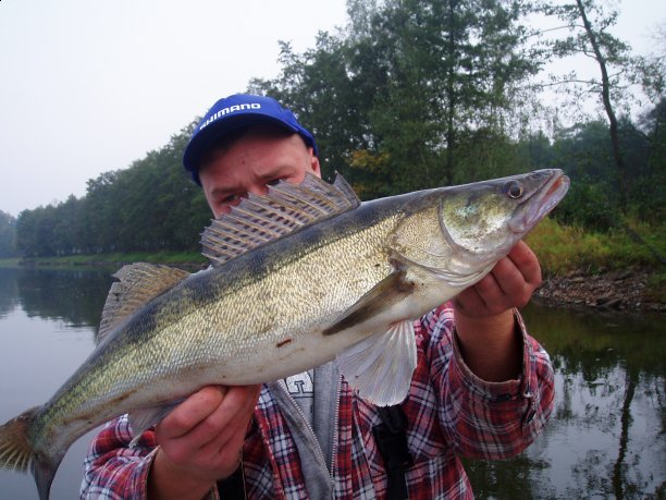 Shrap-Drakers.pl | Shrap Drakers Fishing | Wędkarstwo 