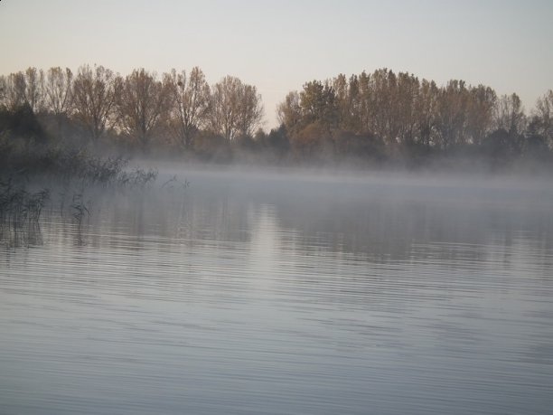 Shrap-Drakers.pl | Shrap Drakers Fishing | Wędkarstwo 